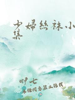 少妇丝袜小说合集