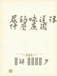 尿的味道很臭是什么原因