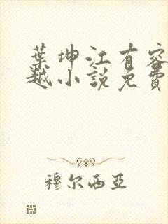 叶坤江有容的穿越小说免费阅读全文