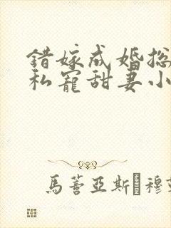 错嫁成婚总裁的私宠甜妻小说