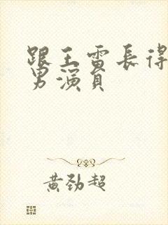 跟王雷长得像的男演员