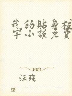 我的贴身校花唐宇小说免费阅读