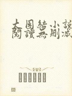 大团结小说在线阅读无删减