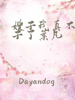 嫂子我真不是傻子了叶凡