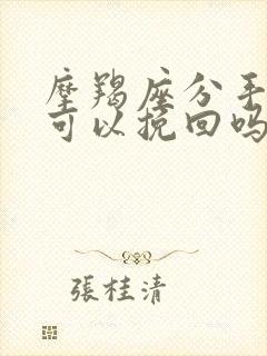 摩羯座分手后还可以挽回吗