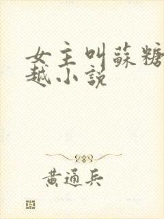 女主叫苏糖的穿越小说