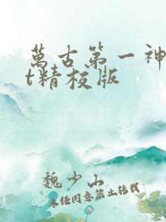 万古第一神txt精校版