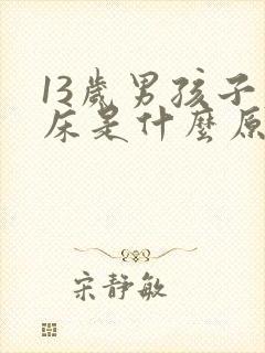 13岁男孩子尿床是什么原因