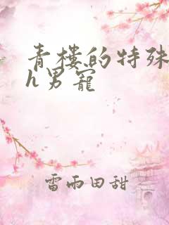 青楼的特殊调教h男宠