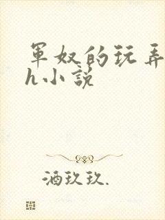 军奴的玩弄调教h小说