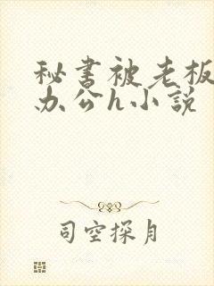 秘书被老板c摁办公h小说