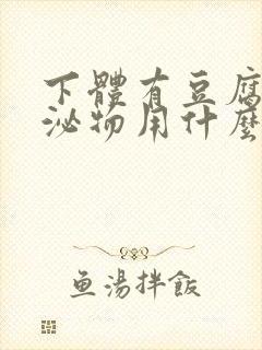 下体有豆腐渣分泌物用什么药