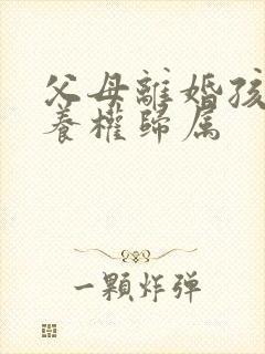 父母离婚孩子抚养权归属