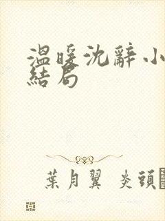 温暖沈辞小说大结局