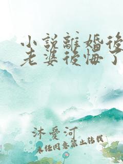 小说离婚后总裁老婆后悔了