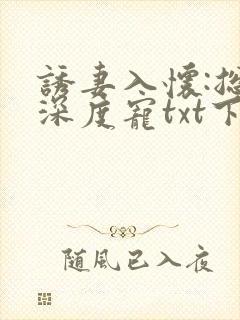 诱妻入怀:总裁深度宠txt下载