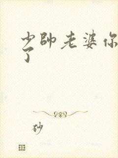 少帅老婆你又跑了