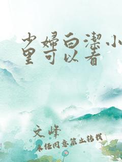 少妇白洁小说哪里可以看