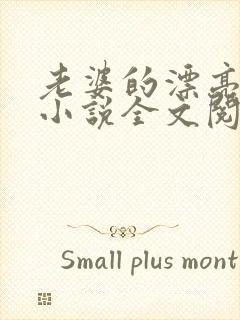 老婆的漂亮闺蜜小说全文阅读