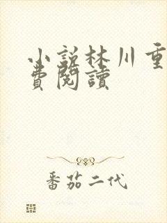 小说林川重生免费阅读