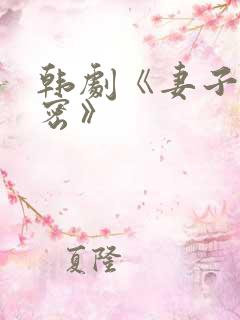 韩剧《妻子的秘密》