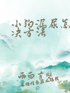 小狗漏尿怎么解决方法