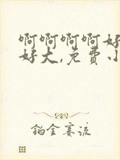 啊啊啊啊好爽,好大,免费小说