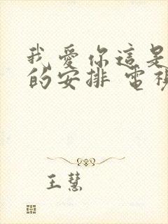 我爱你这是最好的安排 电视剧