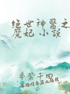 绝世神医之逆天魔妃 小说
