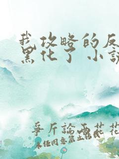 我攻略的反派都黑化了 小说