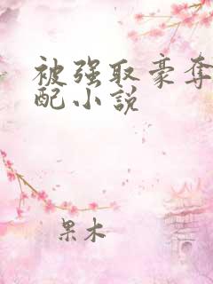 被强取豪夺的女配小说