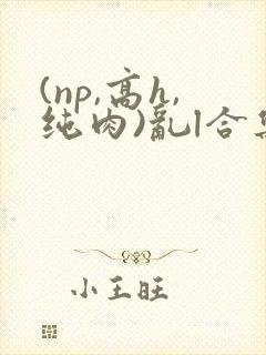 (np,高h,纯肉)乱l合集