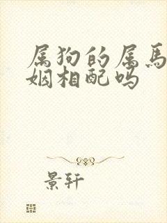 属狗的属马的婚姻相配吗