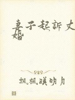 妻子起诉丈夫离婚