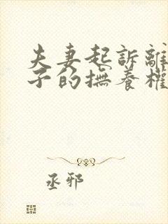 夫妻起诉离婚孩子的抚养权怎么争取