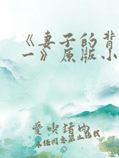 《妻子的背叛犽一》原版小说