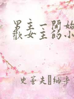 男主一开始不喜欢女主的小说