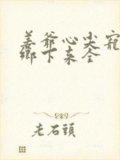 姜爷心尖宠她从乡下来全