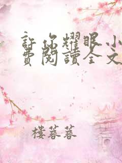 许你耀眼小说免费阅读全文