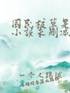 国民校草是女生小说未删减版