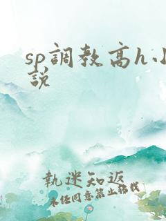 sp调教高h小说