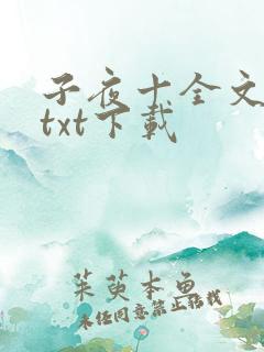 子夜十全文番外txt下载