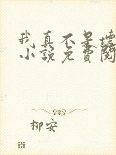 我真不是坏男人小说免费阅读