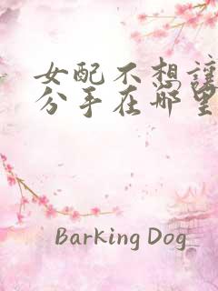 女配不想让主角分手在哪里看小说