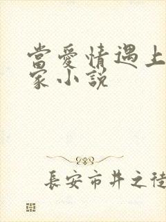 当爱情遇上科学家小说