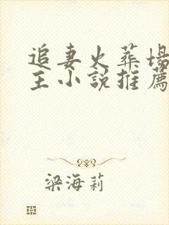 追妻火葬场双男主小说推荐