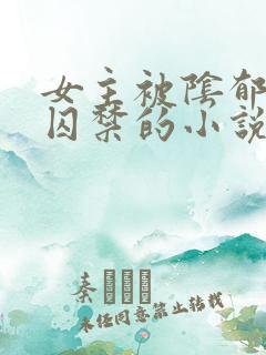 女主被阴郁疯批囚禁的小说