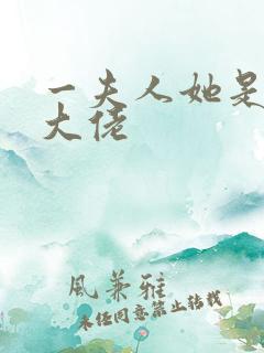 一夫人她是满级大佬