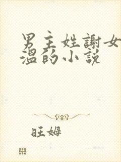 男主姓谢女主姓温的小说