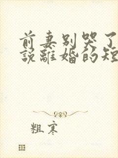 前妻别哭了是你说离婚的短剧在线看